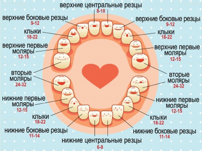 Земцова О. Что должен знать и уметь ребёнок. Тесты для детей 