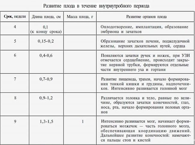 Особенности внутриутробного развития человека. Внутриутробное развитие плода таблица. Периоды развития плода по неделям. Этапы внутриутробного развития плода таблица. Периоды развития плода по неделям таблица.