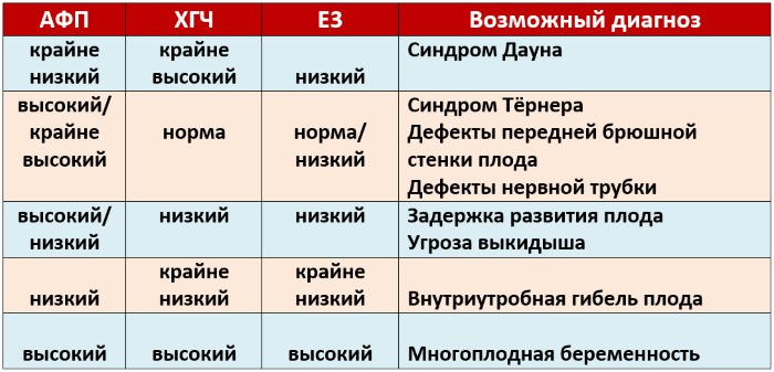 24 акушерская неделя фото