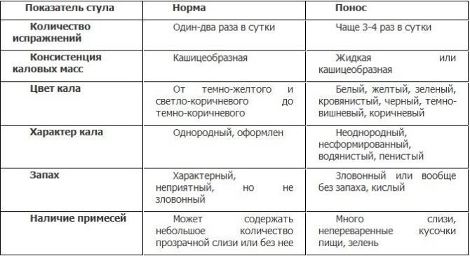 Понос при беременности на ранних сроках. Причины и лечение, что делать, принимать