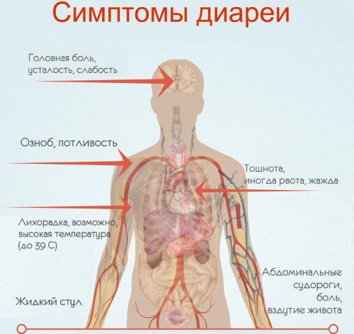 Понос при беременности на ранних сроках. Причины и лечение, что делать, принимать