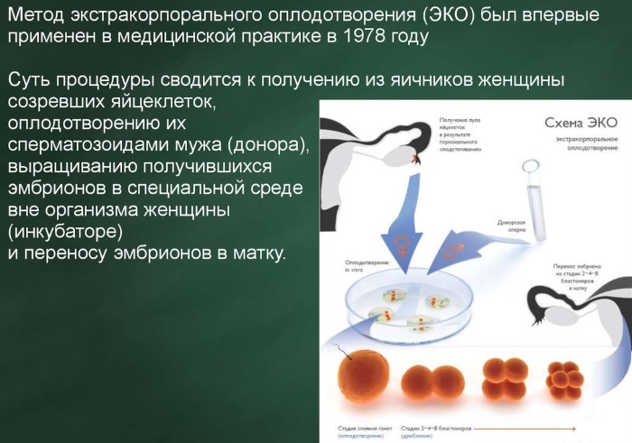 Что такое эко фото