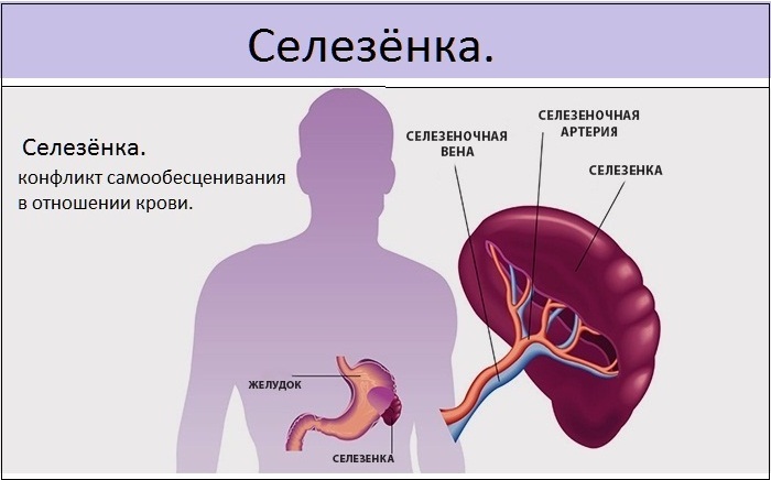 Повышенные тромбоциты у ребенка в крови. Норма, причины отклонений, что делать