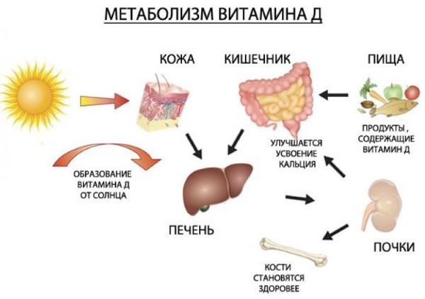 Препараты Витамина Д для женщин в каплях, таблетках. Цены и отзывы