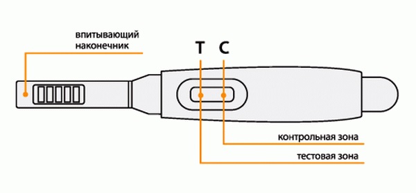 Фото тестов по дням задержки