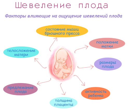 22 неделя беременности. Фото живота с мальчиком и девочкой, отличия, развитие, размер плода