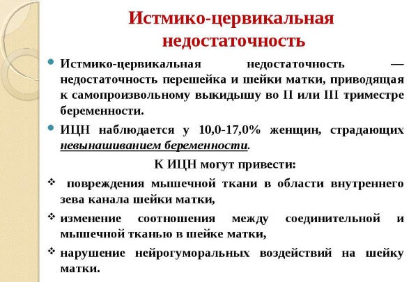 Цервикометрия при беременности. Что это, как делают УЗИ шейки матки