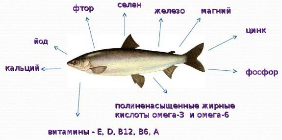 салаты которые можно при грудном вскармливании