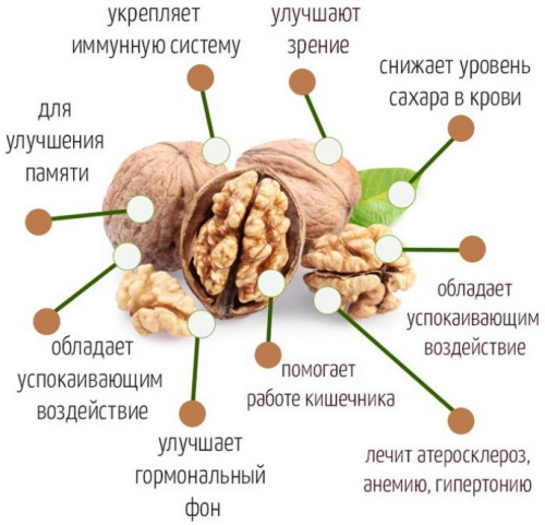 салаты которые можно при грудном вскармливании