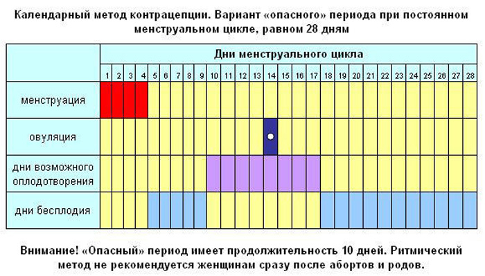 Зачатие мальчика 100 процентов. Калькулятор по месяцу, крови, овуляции, точная таблица