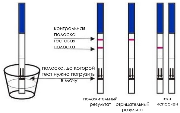 Realtest (Реалтест) на беременность. Отзывы, инструкция, фото результатов