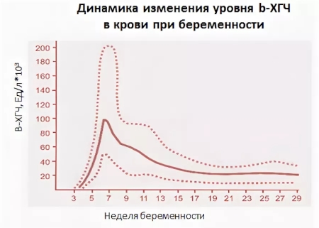 Realtest (Реалтест) на беременность. Отзывы, инструкция, фото результатов